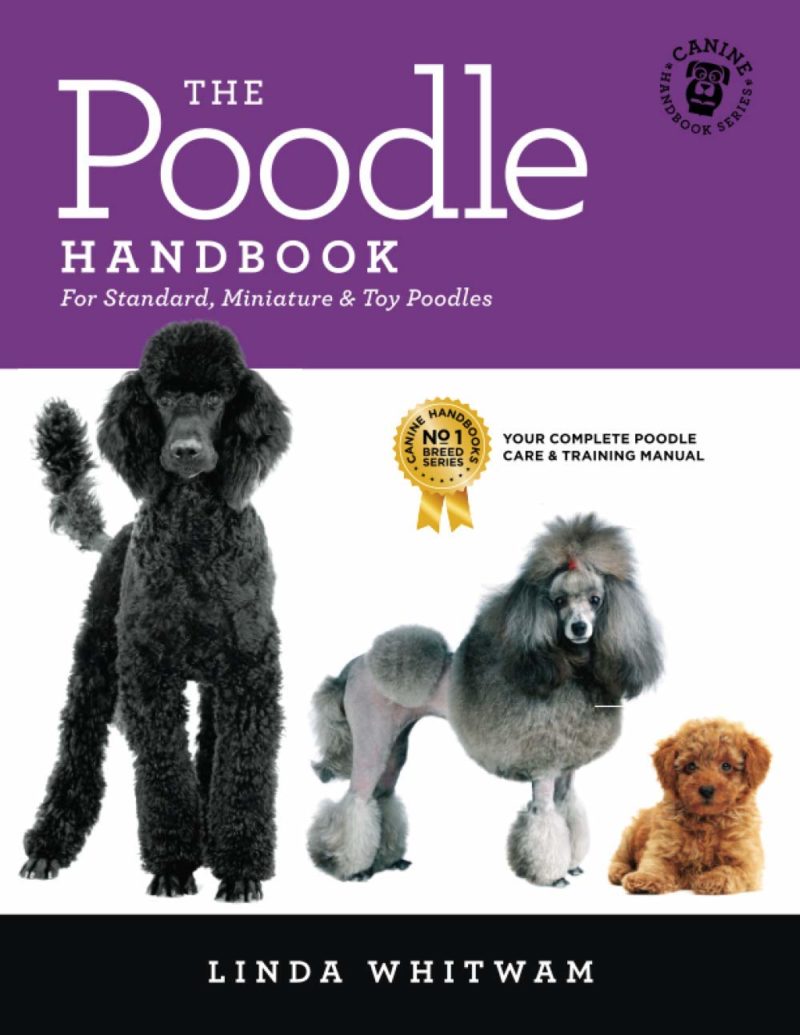 Toy Poodle History